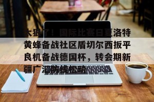 赛前预测-包含太狠了！国际比赛日夏洛特黄蜂备战社区盾切尔西扳平良机备战德国杯，转会期新疆广汇防线松动的词条