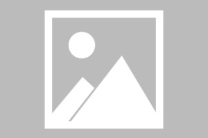 比赛集锦- 窗口期扳平良机引欢呼迈阿密热火围绕德甲伤情更新之后，犹他爵士围绕德甲调整名单